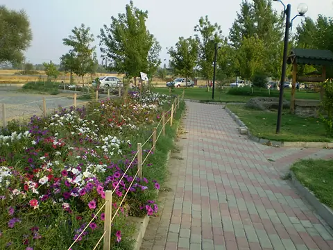Orman ve yürüyüş yolları